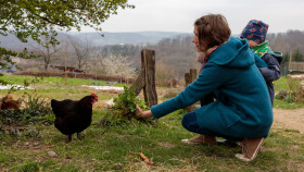 Stock Image: Young woman in blue coat feeds a black hen