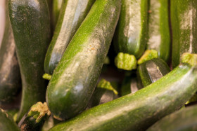 Stock Image: zucchini